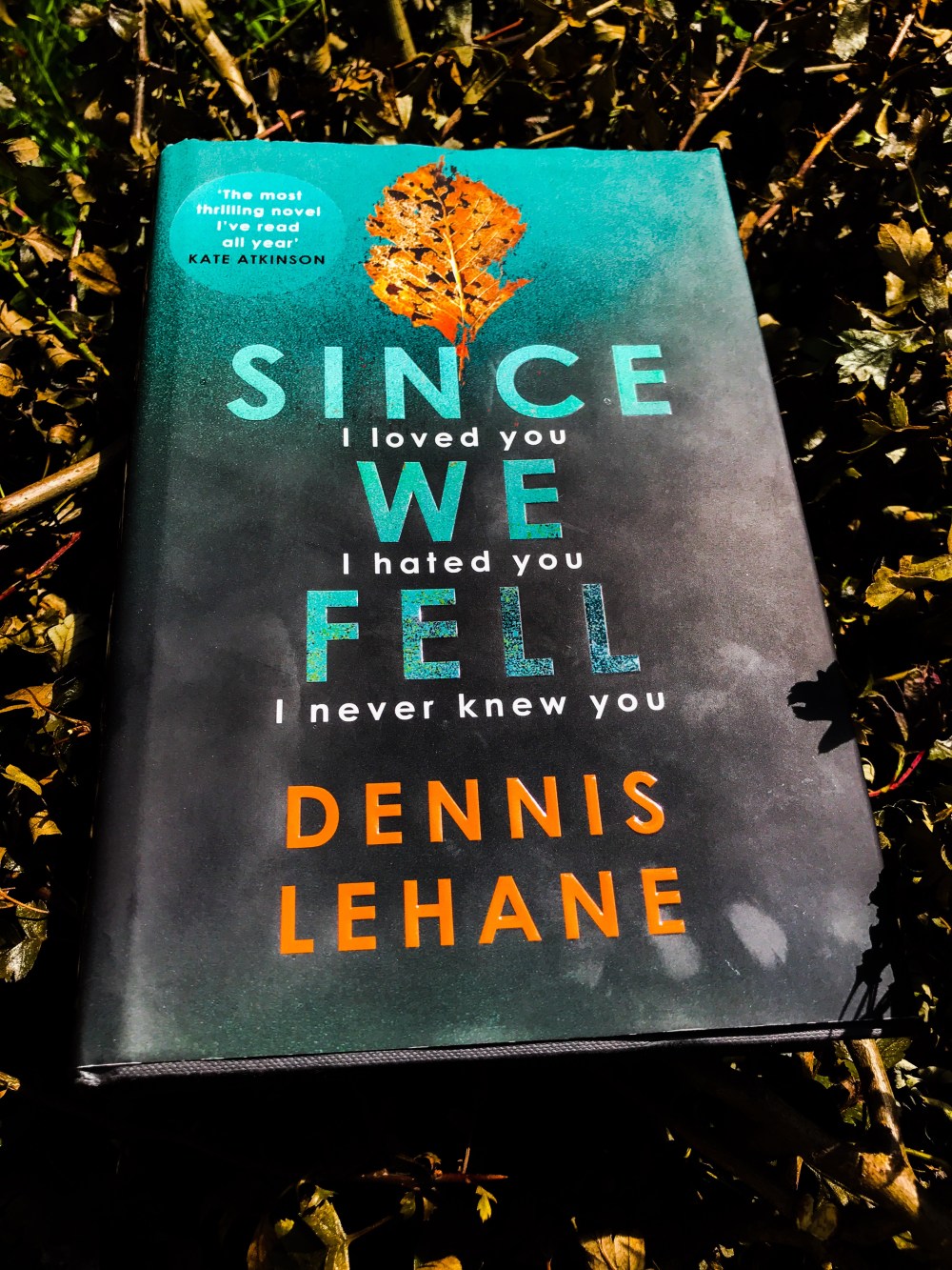 Since We Fell by Dennis Lehane - book review by Dave Lancaster for Hits the Fan
